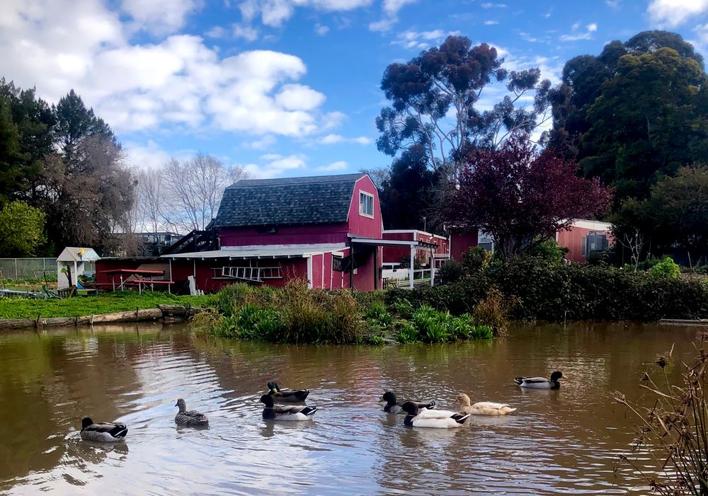 Vallejos Loma Vista Farm To Hold Spring Open House